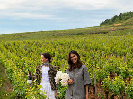 Vignoble en scène à Chambolle-Musigny