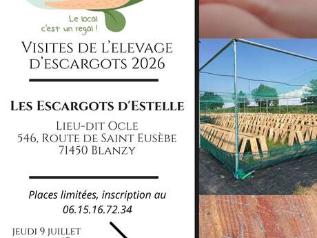 Visite de l'élevage d'escargots