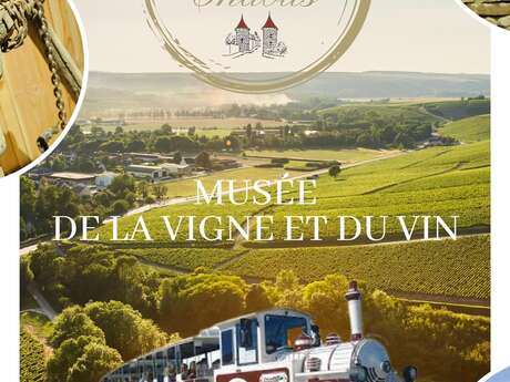 Vinéa Passion - Musée de la vigne et du vin