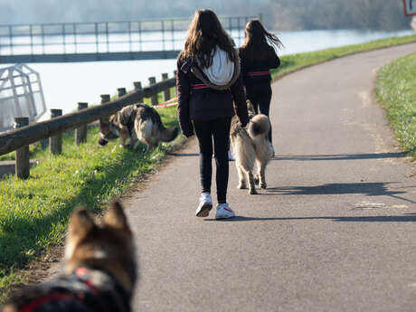 Cani-Rando en famille