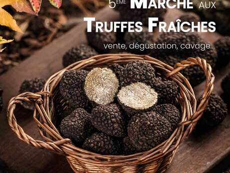 Marché aux Truffes