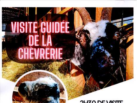 Visite guidée de la chèvrerie "La Chèvre Grisette".