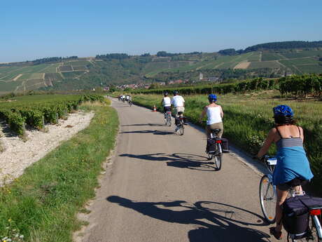 Week-end à vélo dans le Chablisien