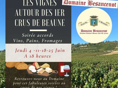 Domaine Besancenot - After work dans les vignes de Beaune