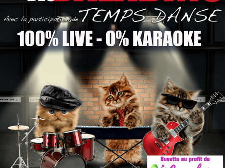 Le Concert des Baladins