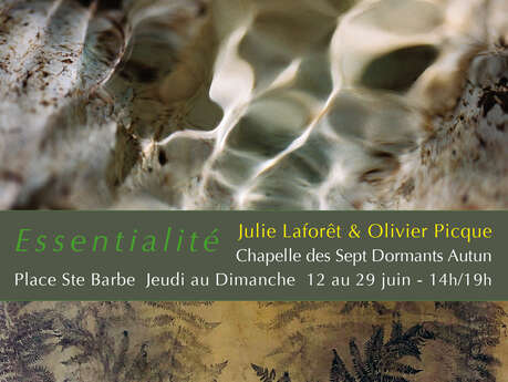 Exposition artistique Essentialité - Olivier Picque et Julie Laforêt