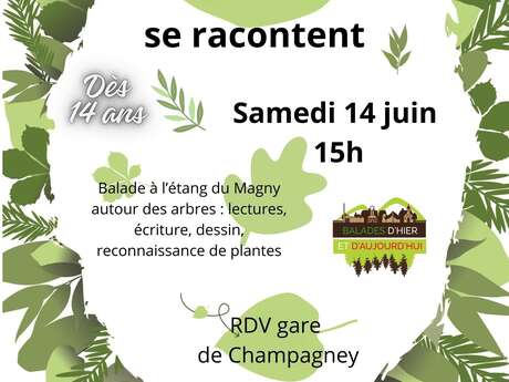 Les arbres se racontent: balade.
