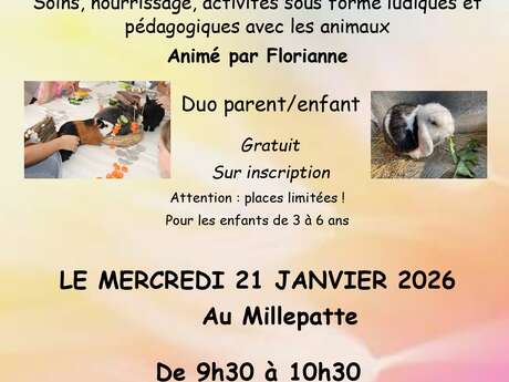 Atelier médiation animal