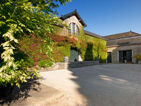 Portes ouvertes au Domaine Albert Morot