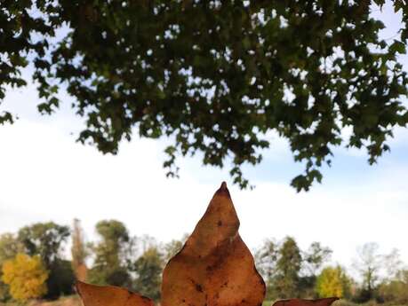 L'Automnale / vide grenier