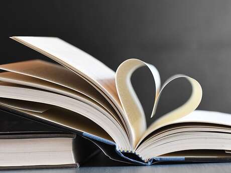 Foire aux livres désherbés et rencontre d'auteurs