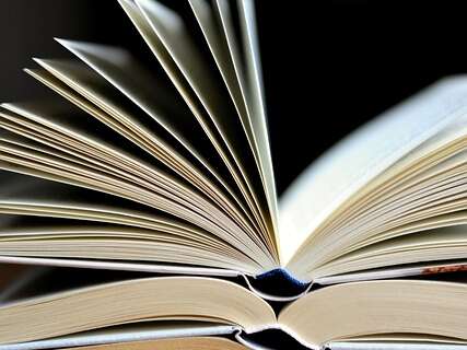 Festival du livre Au Gray des mots