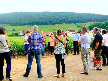 clos de Bourgogne, Master class découverte" Oenologie et dégustation"  des vins de Bourgogne