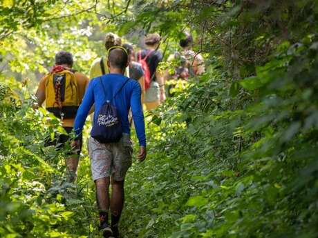 Balade forestière - Samedi 13 juin