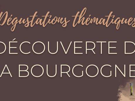 Dégustation de vin "Découverte de la Bourgogne"