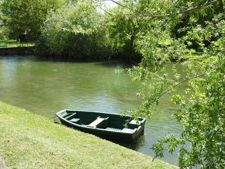 Pêche sur l'Ognon