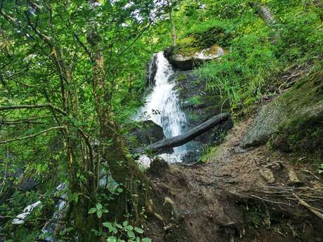 Cascade de Brisecou