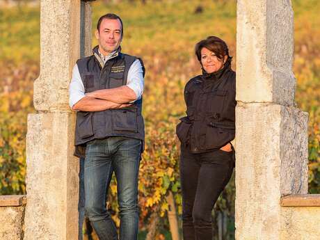 Wine Tour d’Exception : Dégustation parcellaire au cœur du Domaine Jean Chartron