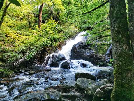 Les Gorges de La Canche