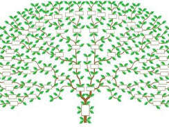 Rencontre Réaliser un Arbre Généalogique