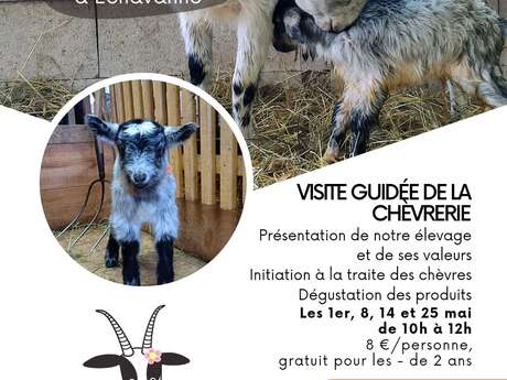 Visites guidées à la chèvrerie "La Chèvre Grisette".