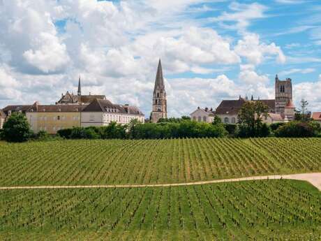 Visite guidée - Clos de la Chainette