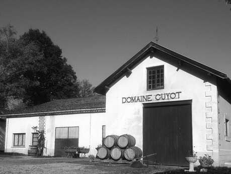 Domaine Guyot Baptiste