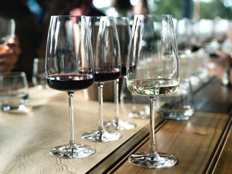 Les Divines Bourgogne - Plaisirs sensoriels