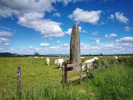 Menhirs d'Epoigny