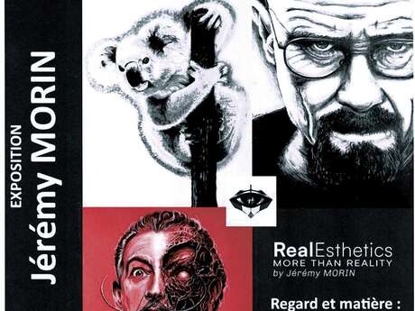 Exposition Jérémy Morin