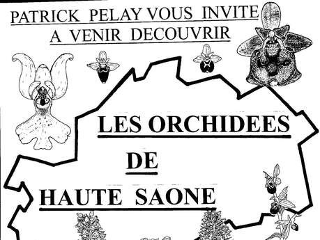Projection de photos "Les orchidées de Haute-Saône"