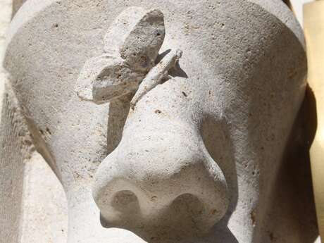 Activités Familles - Les cinq sens