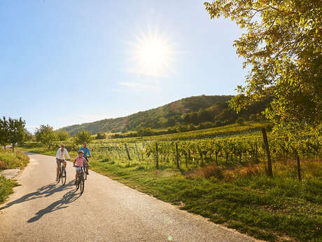 VÉLO & LOISIRS | GROTTE ET PARC AVENTURE