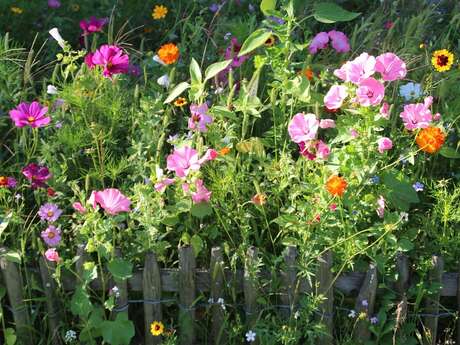 A(musée) vous ! Atelier mon fabuleux jardin