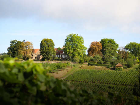 Domaine du Château de Rougeon