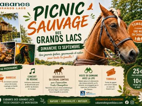 Picnic Sauvage des Grands Lacs