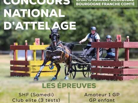 Concours National d’Attelage