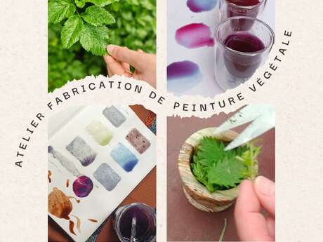 Atelier de peinture végétale