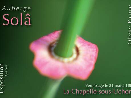 Exposition photographique "Merveilles du Morvan"