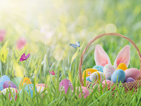 Chasse aux oeufs à Gy