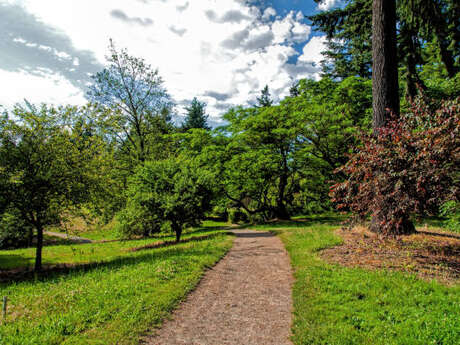 Arts'Boretum
