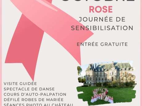 Octobre Rose au château