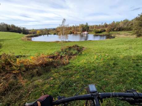 VTT n°3 - Les Grilloux