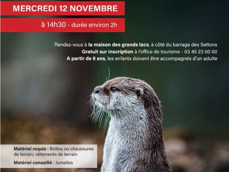 Balade découverte des indices de présence de la loutre d’Europe