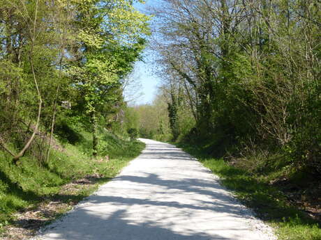 Bois de Brussey