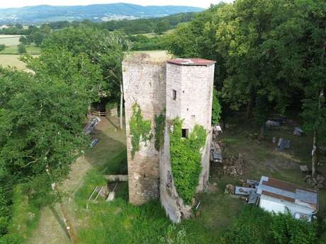 Château de Vautheau