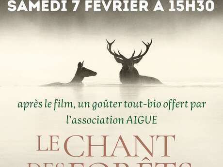 Projection : "Le chant des forêts"