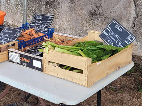 Le Petit Marché-Café du Bât de l'âne