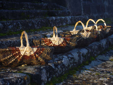 Atelier vannerie: panier sur arceaux