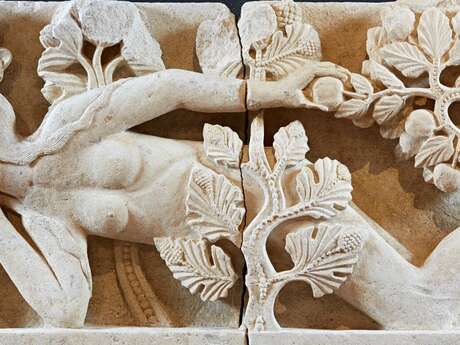 Visite guidée : Merveilles choisies du Musée Rolin au Panoptique